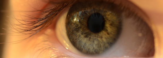 ���C���C���[�W�摜